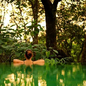 Wayanad Wild - A Cgh Earth Experience India